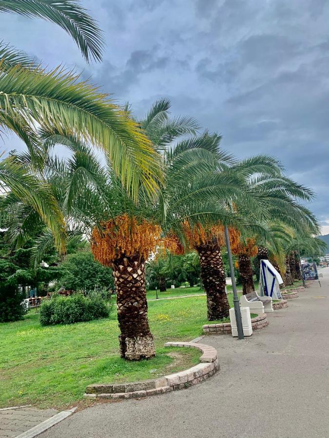 באר Apartman Ana Zeleni Pojas מראה חיצוני תמונה