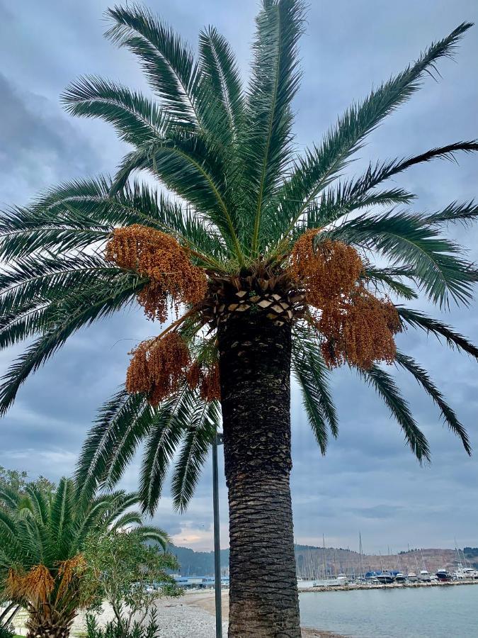 באר Apartman Ana Zeleni Pojas מראה חיצוני תמונה